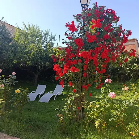 Vakantiehuis El Quinto Pino *