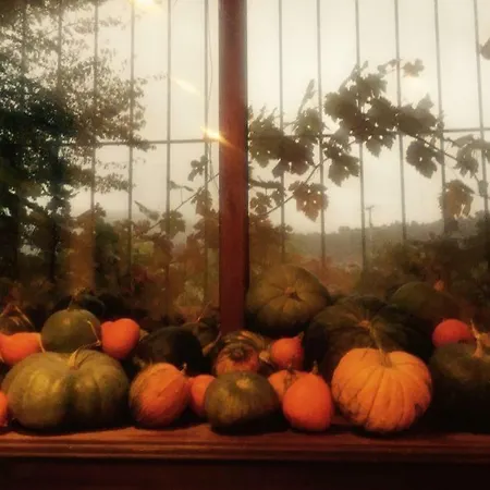 Ferienhaus El Quinto Pino *