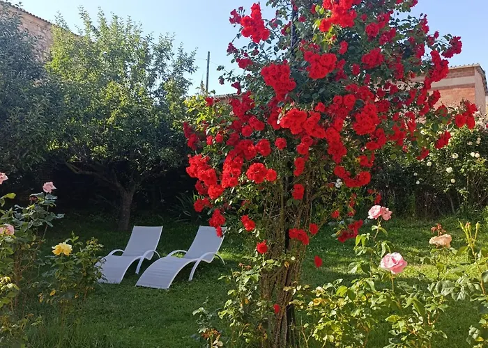 別荘 El Quinto Pino *