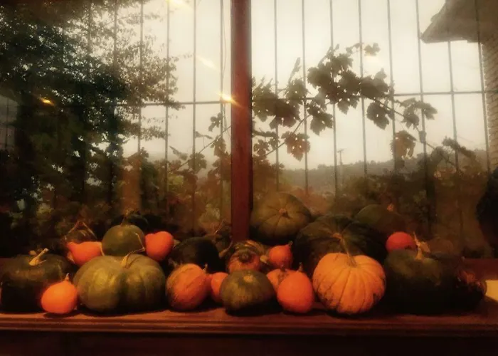 別荘 El Quinto Pino *